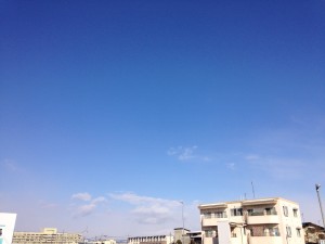 写真 2014-02-22 9 09 24